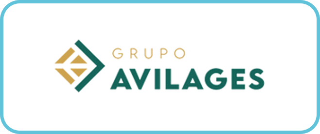 Grupo Avilages